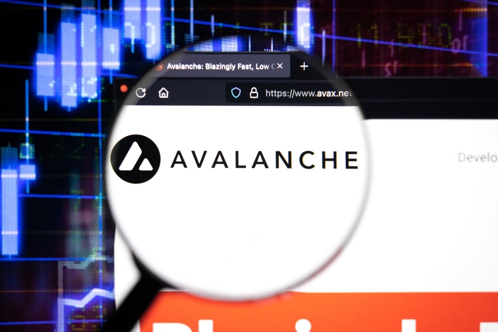 Avalanche Announces Its Upcoming Cortina Upgrade