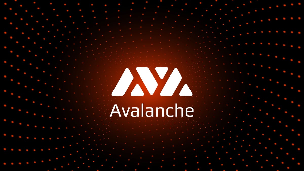 Alibaba Cloud Launches Its Metaverse Launchpad On Avalanche