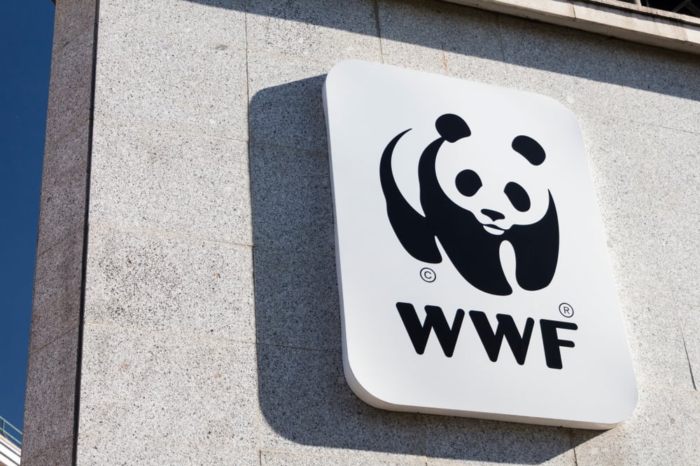 The WWF hopes NFTs could help protect endangered animals 