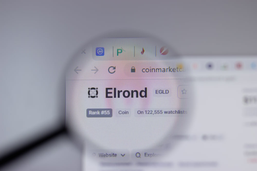 ZoidPay Adds Support For Elrond