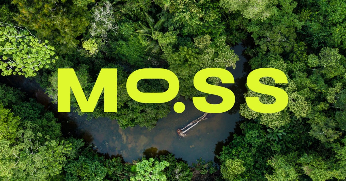 Moss.Earth Is Fighting Climate Change With NFTs