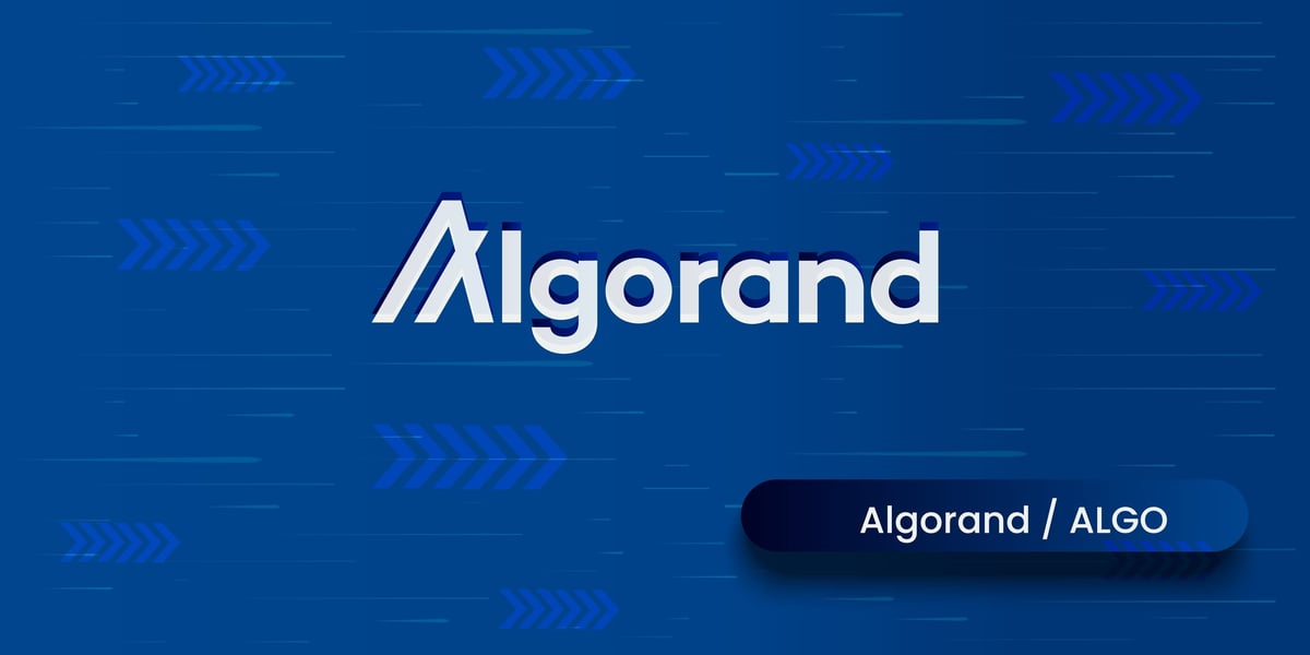 St. Vincent De Paul Disaster Services Launches Kokua On Algorand