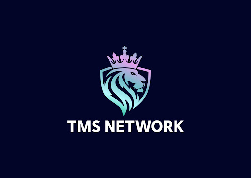Chainlink (LINK) and Avalanche (AVAX) Partnerships Boost Volume. TMS Network (TMSN) Trading Platform Stands Out On its Own