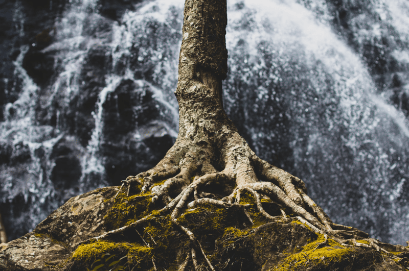 Bybit Welcomes Root Network (ROOT) to its Spot Trading Platform with Events and Prizes