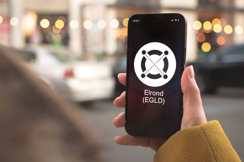 Elrond Team Posts Its Latest Developments In The Weekly Report