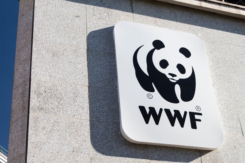 The WWF hopes NFTs could help protect endangered animals 