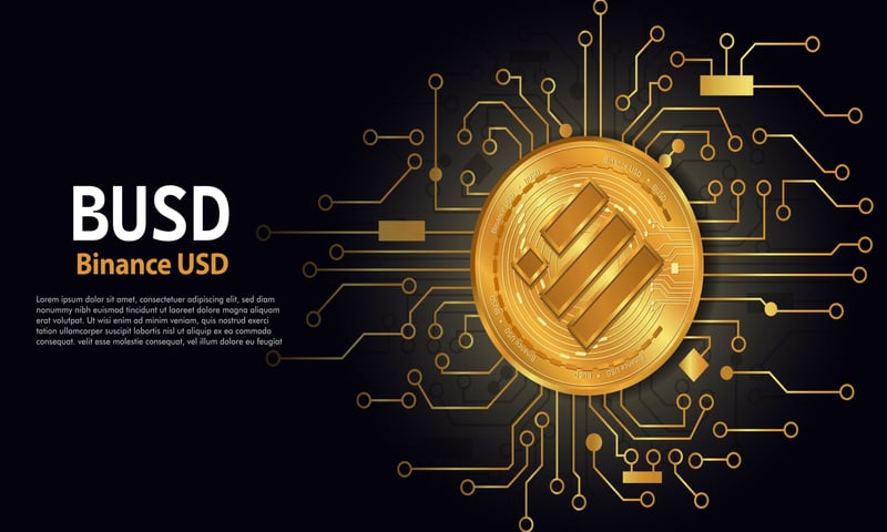 Binance Introduces Its BUSD Monthly Reserves Holding Reports