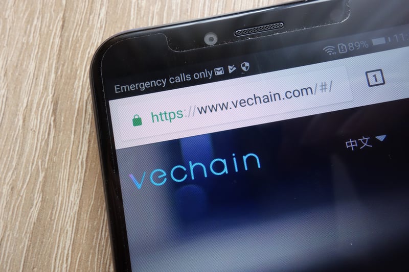 VeChain Announces Its Partnership With TruTrace