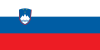 SI flag